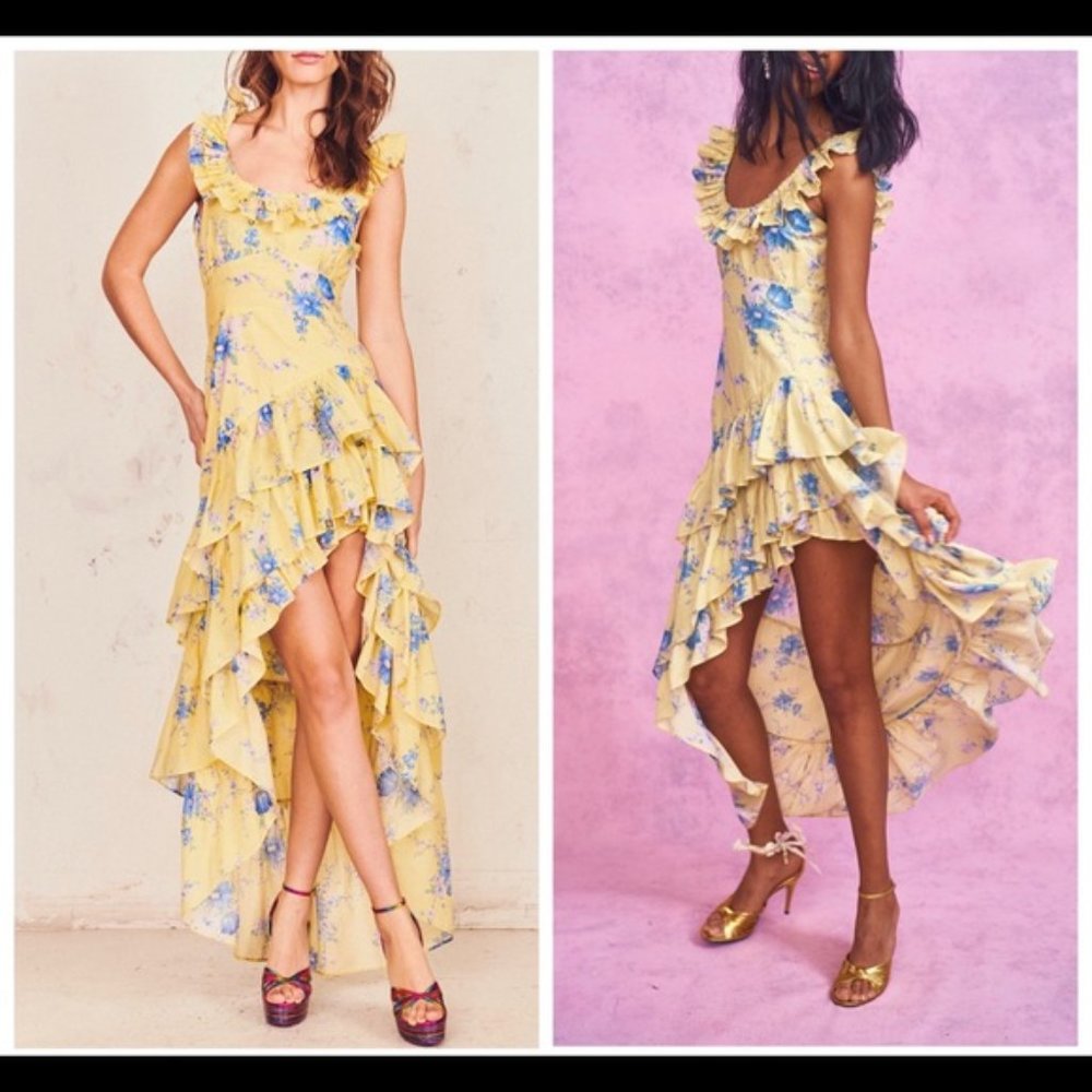 LoveShackFancy Winslow Dress Size 10